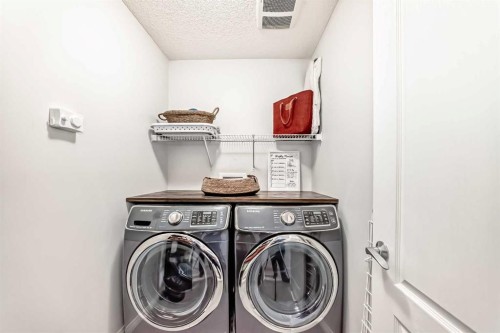 289 Auburn Meadows Place Se, Calgary, AB - Indoor Photo Showing Laundry Room