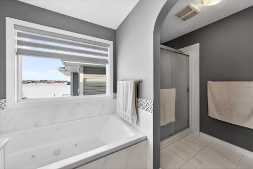 72 Redstone Drive Ne, Calgary, AB - Indoor Photo Showing Bathroom