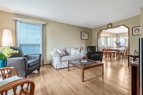 124 Catalina Place Ne, Calgary, AB - Indoor Photo Showing Living Room