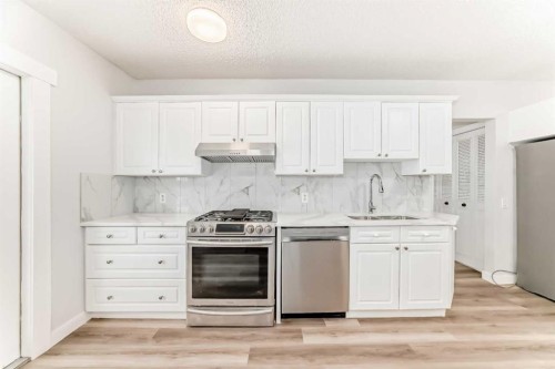 307 Huntridge Road Ne, Calgary, AB - Indoor Photo Showing Kitchen With Double Sink With Upgraded Kitchen