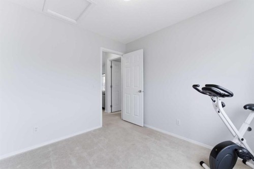 40 Royal Birch Mount Nw, Calgary, AB - Indoor Photo Showing Gym Room