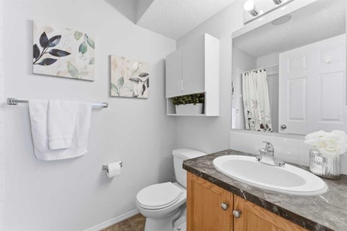 40 Royal Birch Mount Nw, Calgary, AB - Indoor Photo Showing Bathroom
