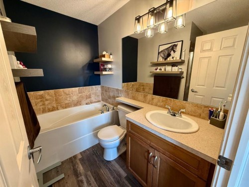 607 Montgomery Close Se, High River, AB - Indoor Photo Showing Bathroom