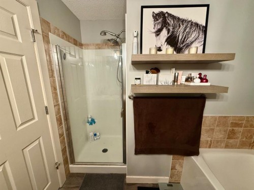 607 Montgomery Close Se, High River, AB - Indoor Photo Showing Bathroom