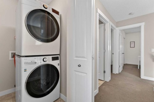 50 Silverado Plains Circle Sw, Calgary, AB - Indoor Photo Showing Laundry Room