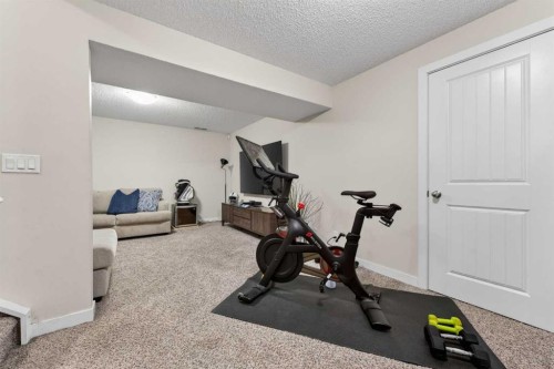 50 Silverado Plains Circle Sw, Calgary, AB - Indoor Photo Showing Gym Room