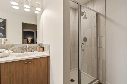 103 Silver Spruce Grove, Calgary, AB - Indoor Photo Showing Bathroom