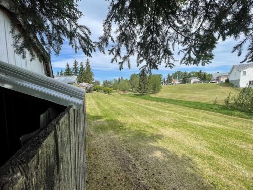 39 Southridge Crescent, Didsbury, AB - Outdoor With View