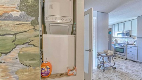 64 Midglen Drive Se, Calgary, AB - Indoor Photo Showing Laundry Room