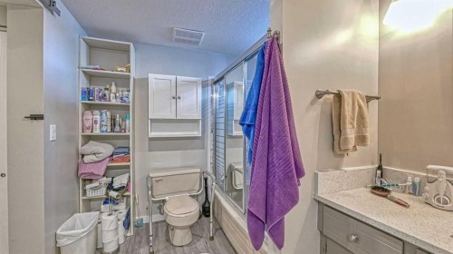 64 Midglen Drive Se, Calgary, AB - Indoor Photo Showing Bathroom