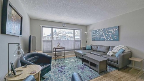 64 Midglen Drive Se, Calgary, AB - Indoor Photo Showing Living Room