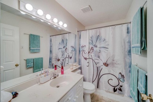 239 Arbour Wood, Calgary, AB - Indoor Photo Showing Bathroom