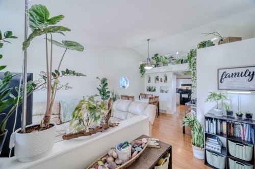 239 Arbour Wood, Calgary, AB - Indoor Photo Showing Living Room