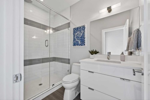 4905 21 Street Sw, Calgary, AB - Indoor Photo Showing Bathroom