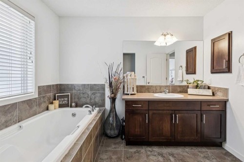 524 Cranston Drive Se, Calgary, AB - Indoor Photo Showing Bathroom