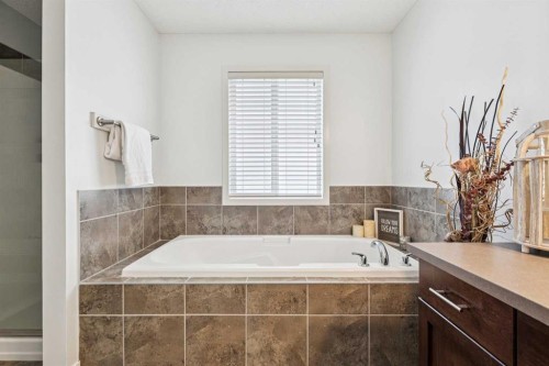 524 Cranston Drive Se, Calgary, AB - Indoor Photo Showing Bathroom
