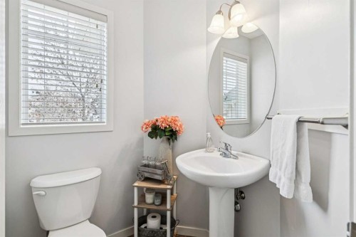 524 Cranston Drive Se, Calgary, AB - Indoor Photo Showing Bathroom