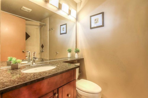 172 Oaktree Lane Sw, Calgary, AB - Indoor Photo Showing Bathroom