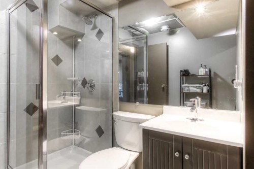 172 Oaktree Lane Sw, Calgary, AB - Indoor Photo Showing Bathroom
