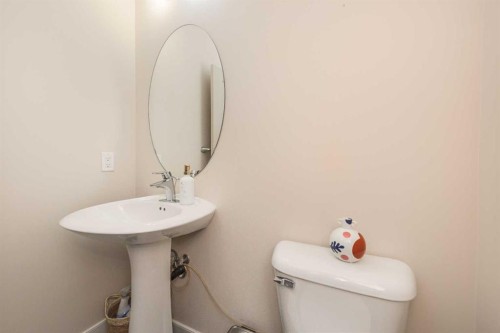 33 Evanscove Manor Nw, Calgary, AB - Indoor Photo Showing Bathroom