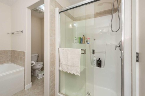 33 Evanscove Manor Nw, Calgary, AB - Indoor Photo Showing Bathroom