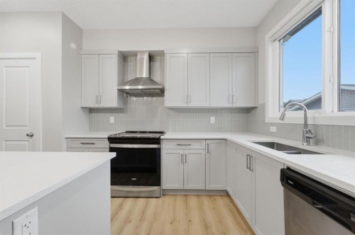 34 Lavender Manor Se, Calgary, AB - Indoor Photo Showing Kitchen With Double Sink With Upgraded Kitchen