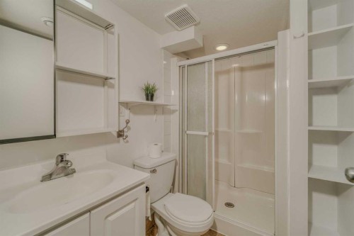 112 Edgedale Way, Calgary, AB - Indoor Photo Showing Bathroom