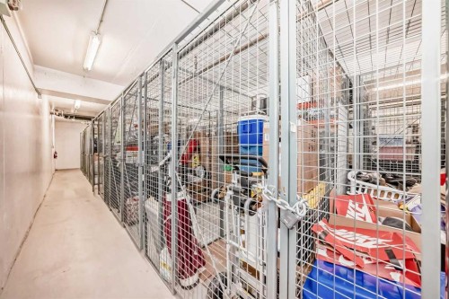 507-10 Shawnee Hill Sw, Calgary, AB - Indoor With Storage