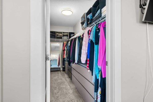 100 Kinniburgh Gardens, Chestermere, AB - Indoor With Storage