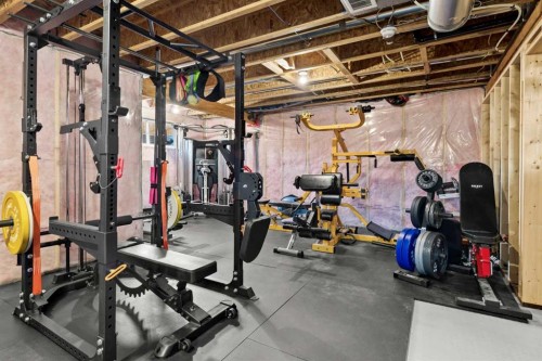100 Kinniburgh Gardens, Chestermere, AB - Indoor Photo Showing Basement