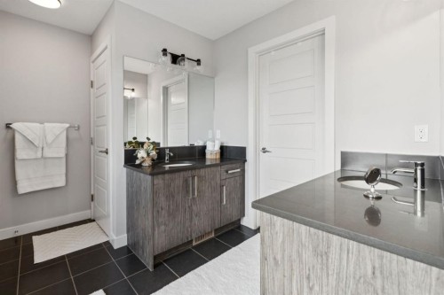363 Precedence Hill, Cochrane, AB - Indoor Photo Showing Bathroom