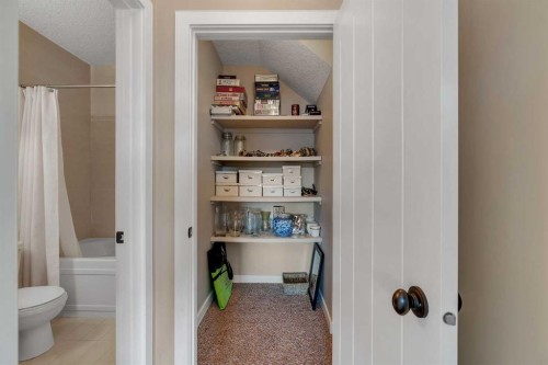 287 Sunset View, Cochrane, AB - Indoor Photo Showing Bathroom