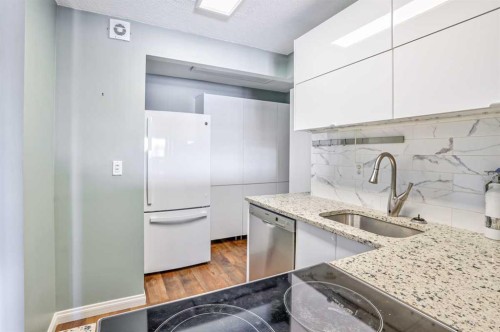 35B-231 Heritage Drive Se, Calgary, AB - Indoor Photo Showing Kitchen With Upgraded Kitchen