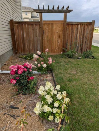 201 Rainbow Falls Glen, Chestermere, AB - Outdoor