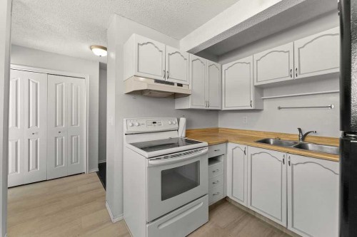 56-5520 1 Avenue Se, Calgary, AB - Indoor Photo Showing Kitchen With Double Sink