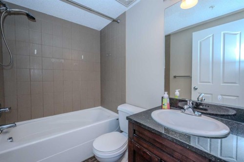 309-355 Taralake Way Ne, Calgary, AB - Indoor Photo Showing Bathroom
