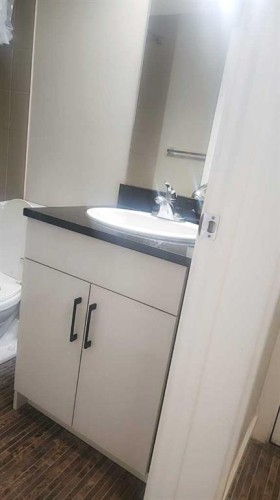 309-355 Taralake Way Ne, Calgary, AB - Indoor Photo Showing Bathroom