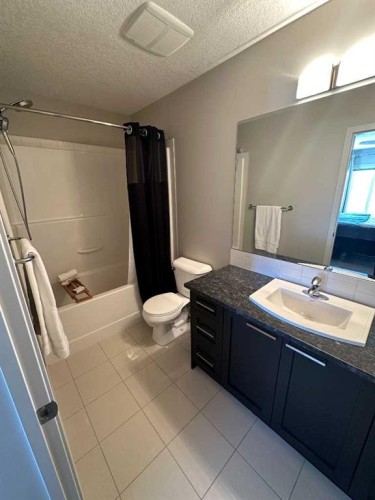 113 Copperpond Row Se, Calgary, AB - Indoor Photo Showing Bathroom