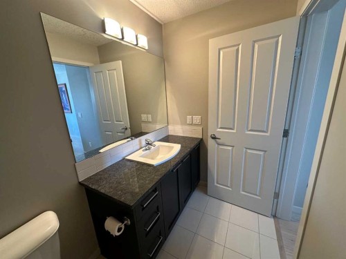 113 Copperpond Row Se, Calgary, AB - Indoor Photo Showing Bathroom