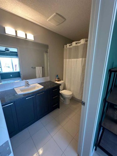 113 Copperpond Row Se, Calgary, AB - Indoor Photo Showing Bathroom