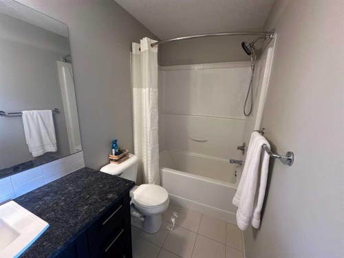 113 Copperpond Row Se, Calgary, AB - Indoor Photo Showing Bathroom