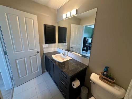 113 Copperpond Row Se, Calgary, AB - Indoor Photo Showing Bathroom
