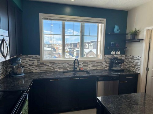 113 Copperpond Row Se, Calgary, AB - Indoor Photo Showing Kitchen With Double Sink With Upgraded Kitchen
