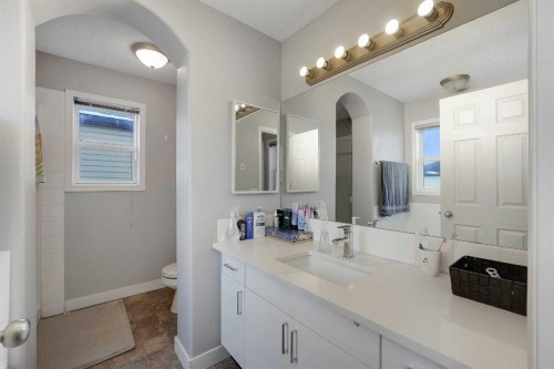 14 Marthas Close Ne, Calgary, AB - Indoor Photo Showing Bathroom
