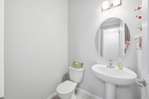 134 Windrow Link Sw, Airdrie, AB - Indoor Photo Showing Bathroom