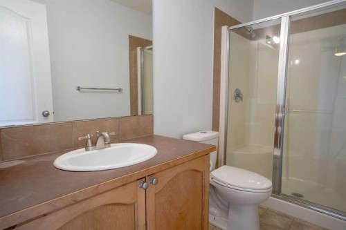 160 Covemeadow Road Ne, Calgary, AB - Indoor Photo Showing Bathroom