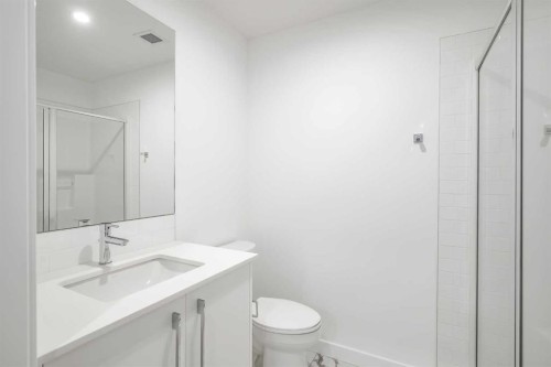 4307-111 Wolf Creek Drive Se, Calgary, AB - Indoor Photo Showing Bathroom
