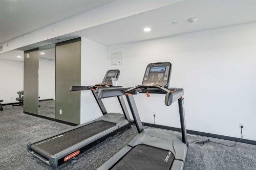 4307-111 Wolf Creek Drive Se, Calgary, AB - Indoor Photo Showing Gym Room
