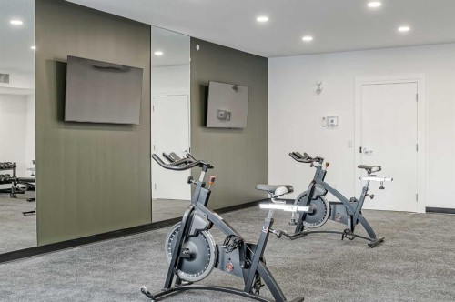4307-111 Wolf Creek Drive Se, Calgary, AB - Indoor Photo Showing Gym Room