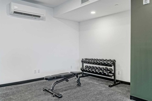 4307-111 Wolf Creek Drive Se, Calgary, AB - Indoor Photo Showing Gym Room